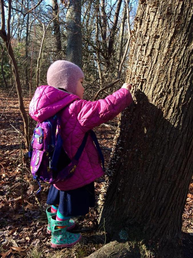 49439062_448389995693737_6493006162227625984_n